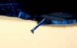 Description: Stylus has been cleaned by the polymer